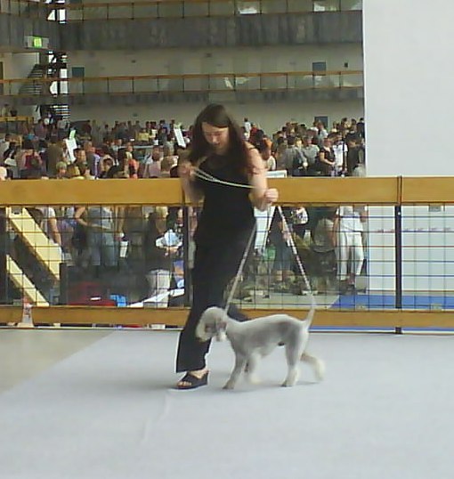 V kruhu 2