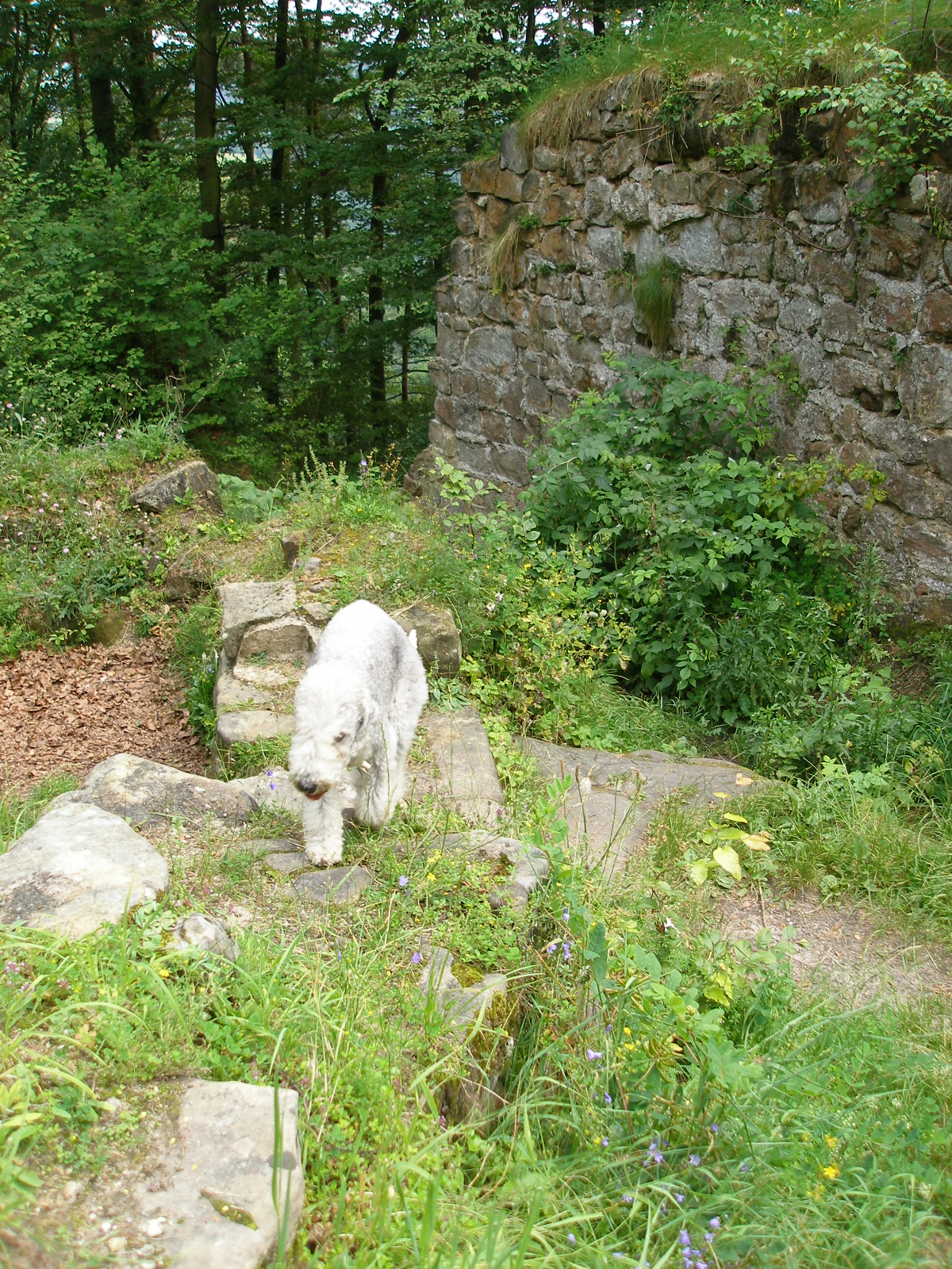 Na Zbirohu 2