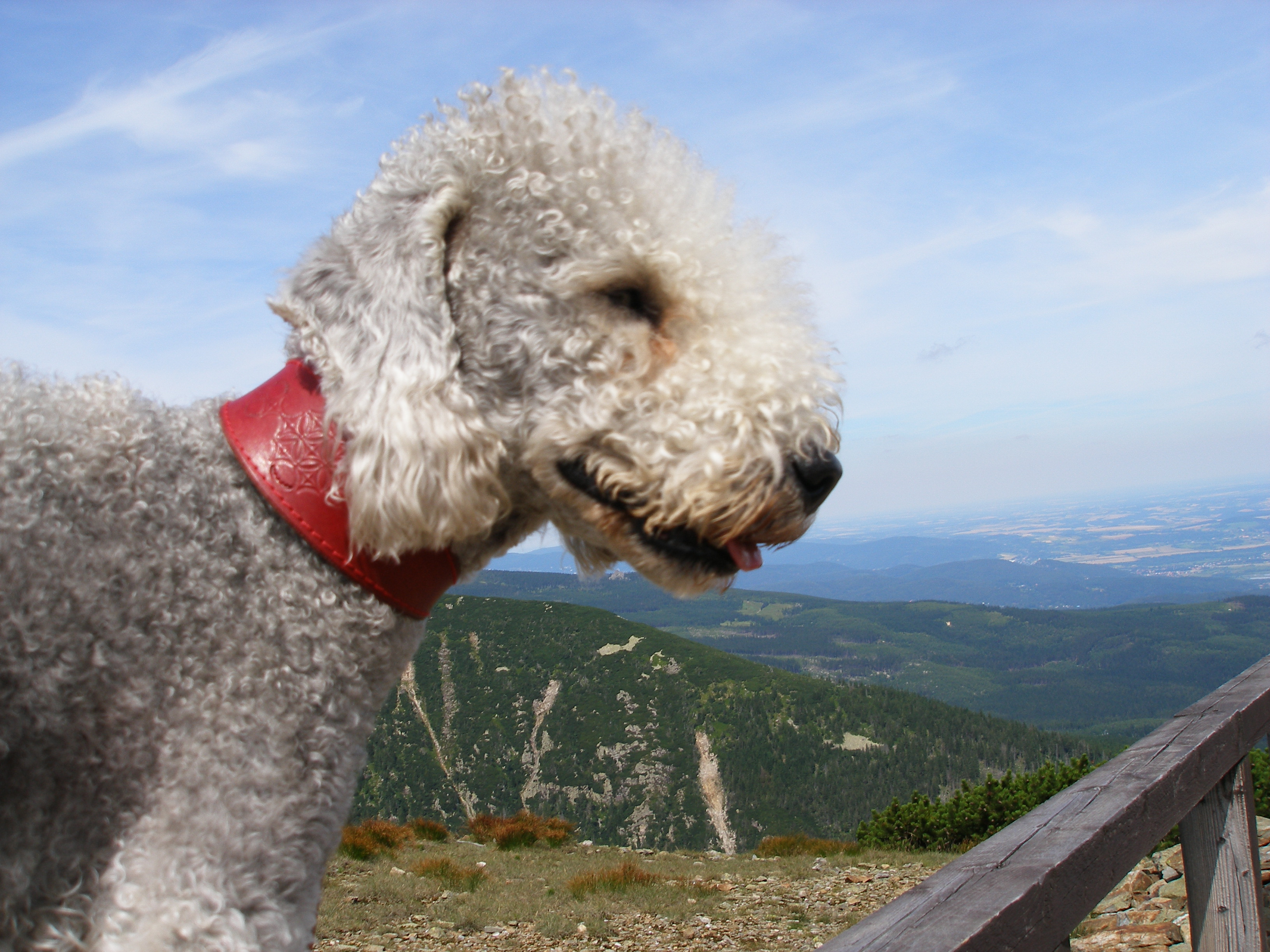 Vyhlídka pod vrcholem