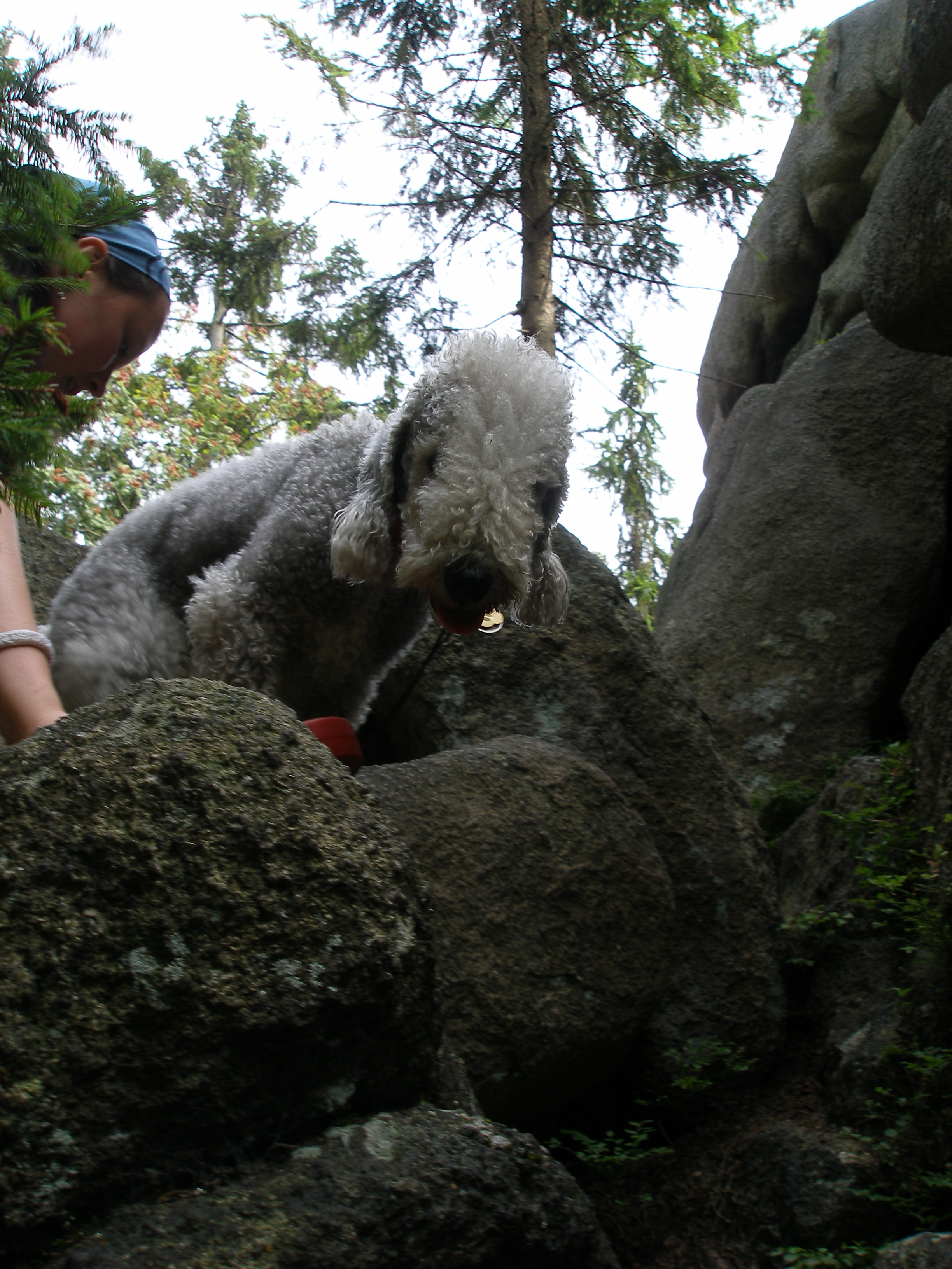 Na Beranidlech