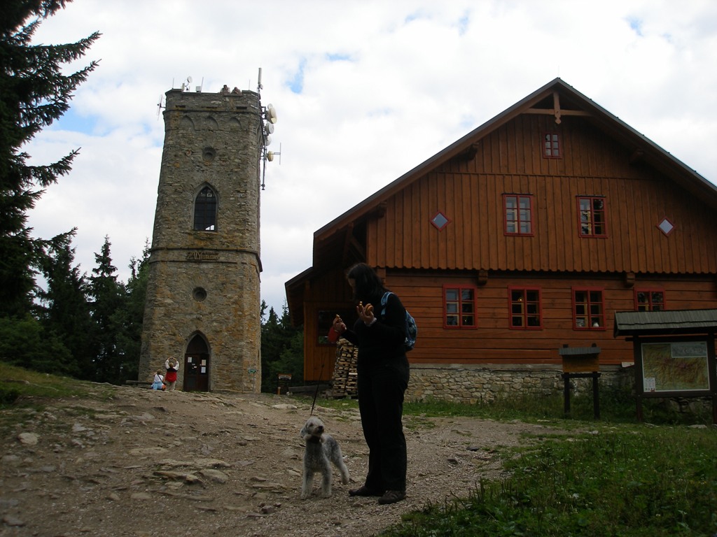 Před Žalým